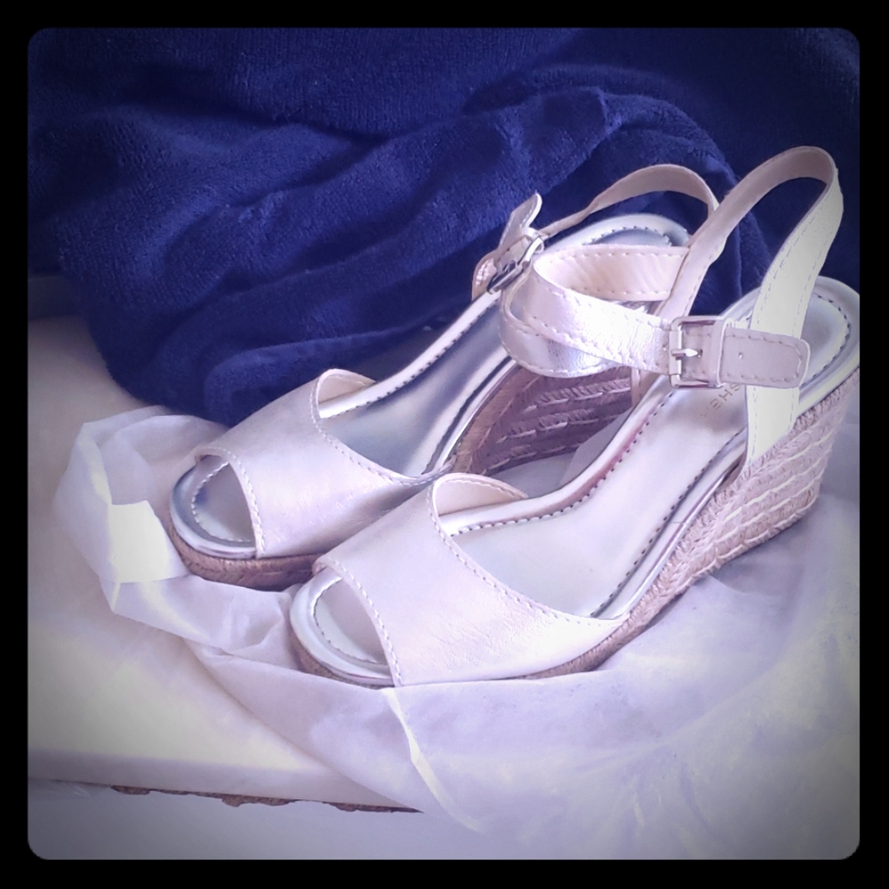 Silver wedges